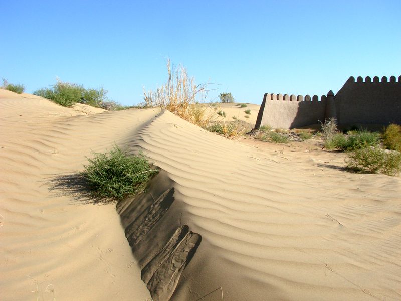 Пески к югу от Хивы, изображение ландшафта.