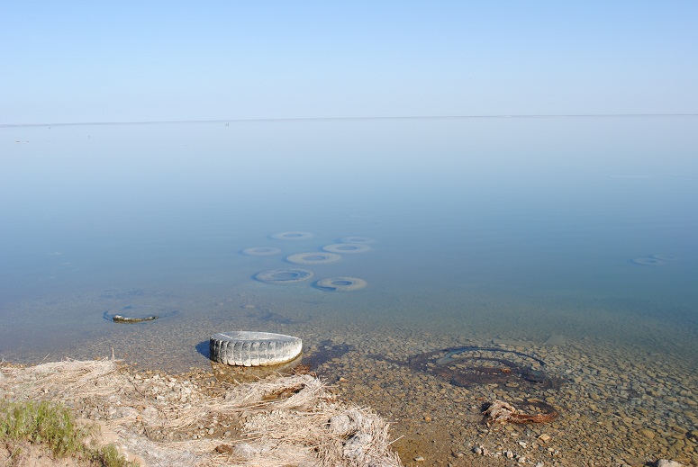Озеро Айдаркуль, изображение ландшафта.