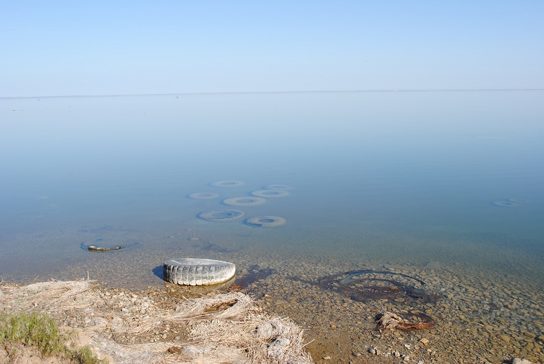 Озеро Айдаркуль, image of landscape/habitat.