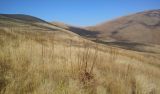 Image of landscape