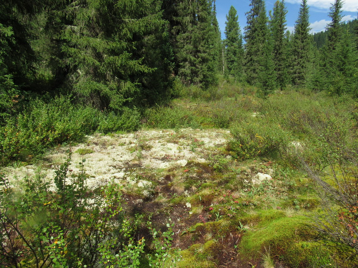 Долина реки Тушканчик, image of landscape/habitat.