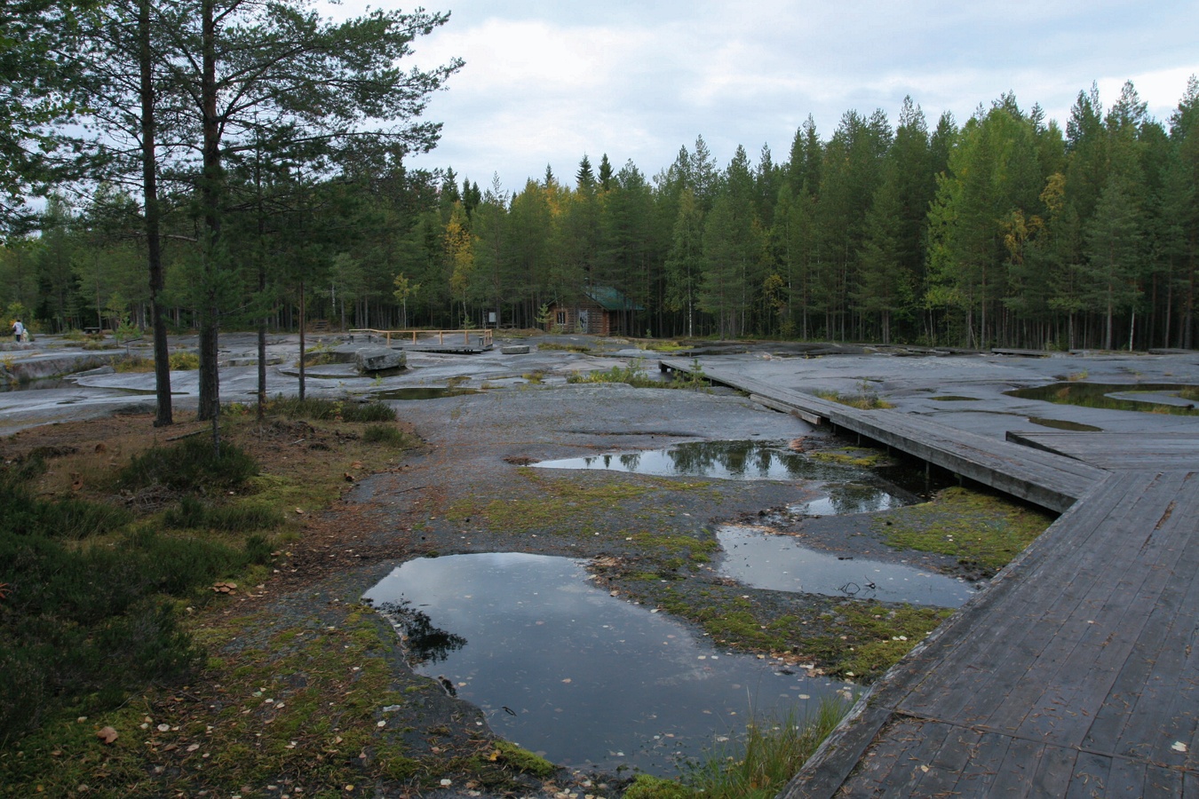 Залавруга, image of landscape/habitat.