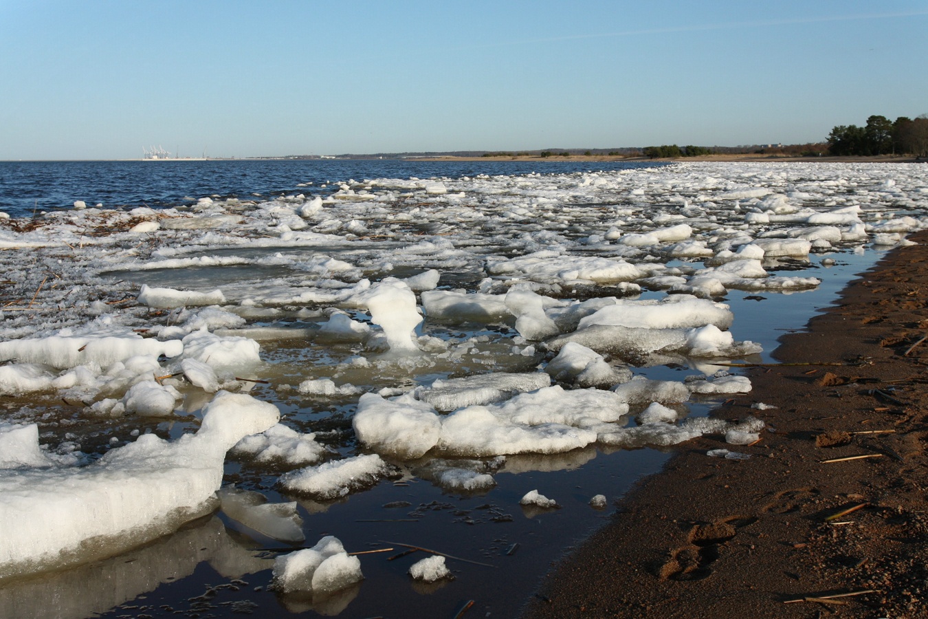 Большая Ижора, image of landscape/habitat.