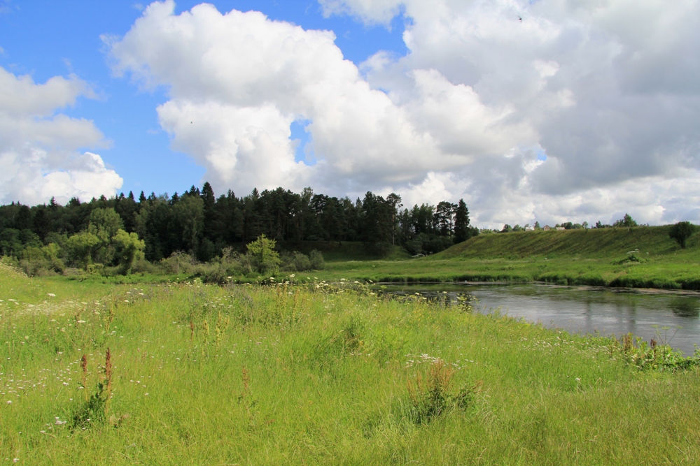 Долина р. Москва, image of landscape/habitat.