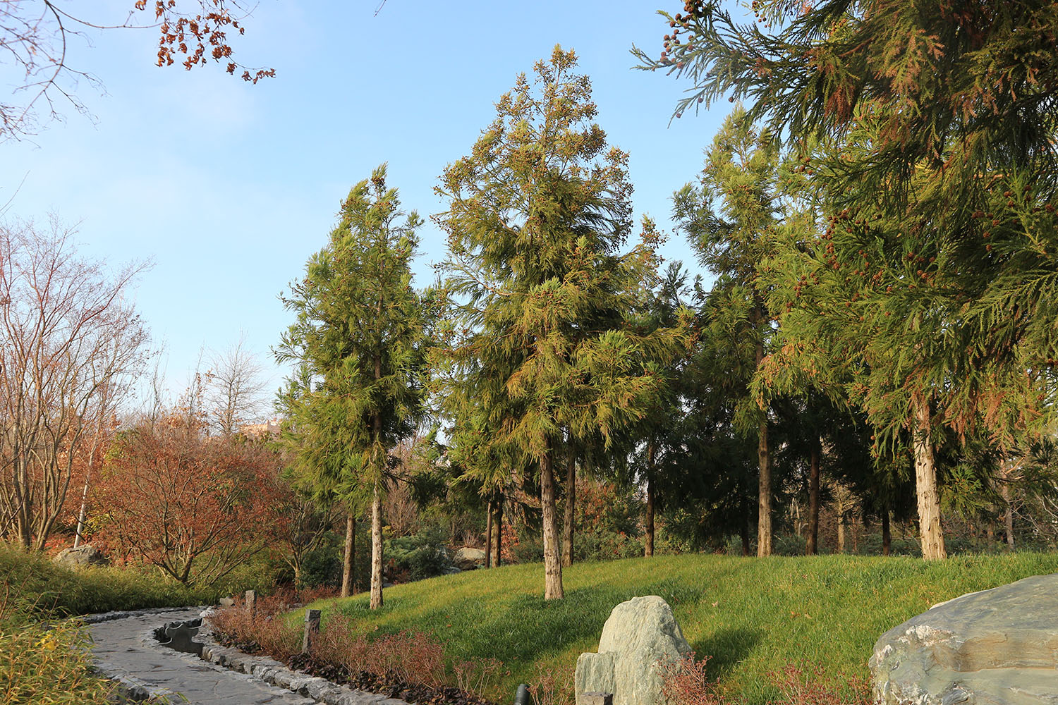 Японский сад в парке Галицкого, image of landscape/habitat.