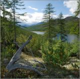 Озеро Танцующих хариусов, image of landscape/habitat.