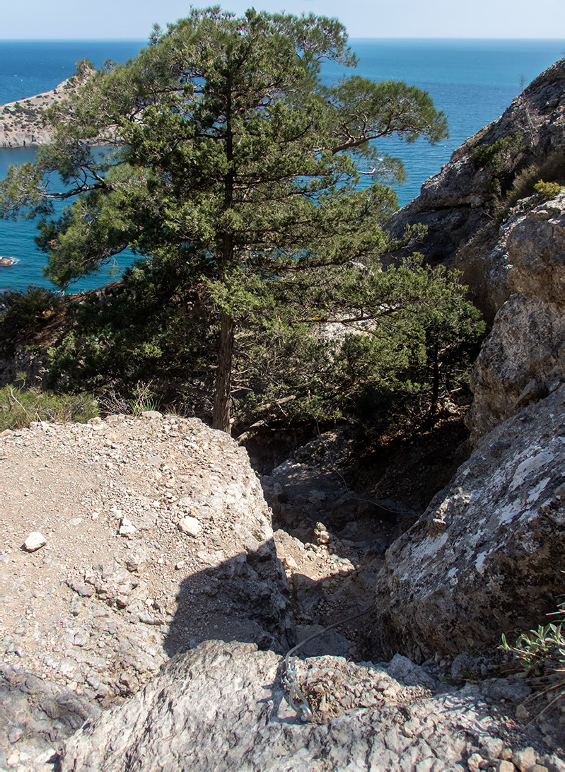 Караул-Оба, изображение ландшафта.