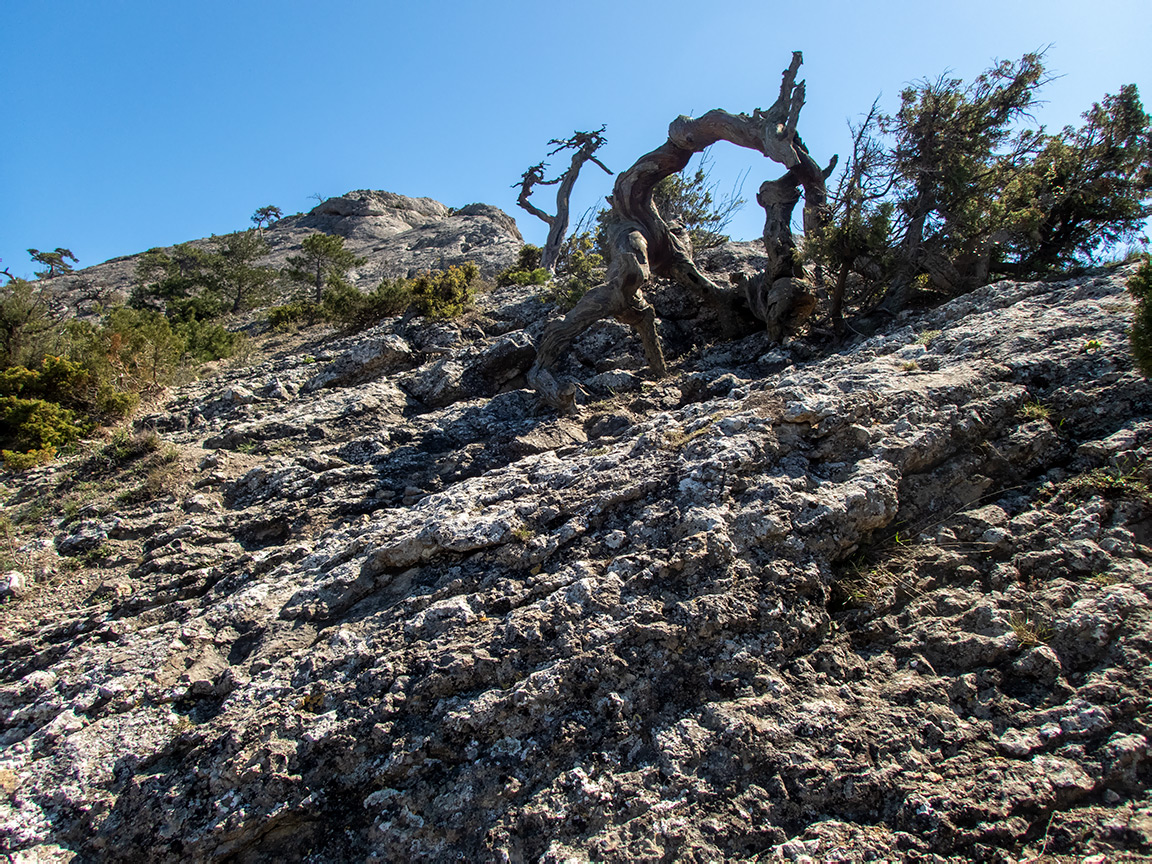 Сокол, image of landscape/habitat.