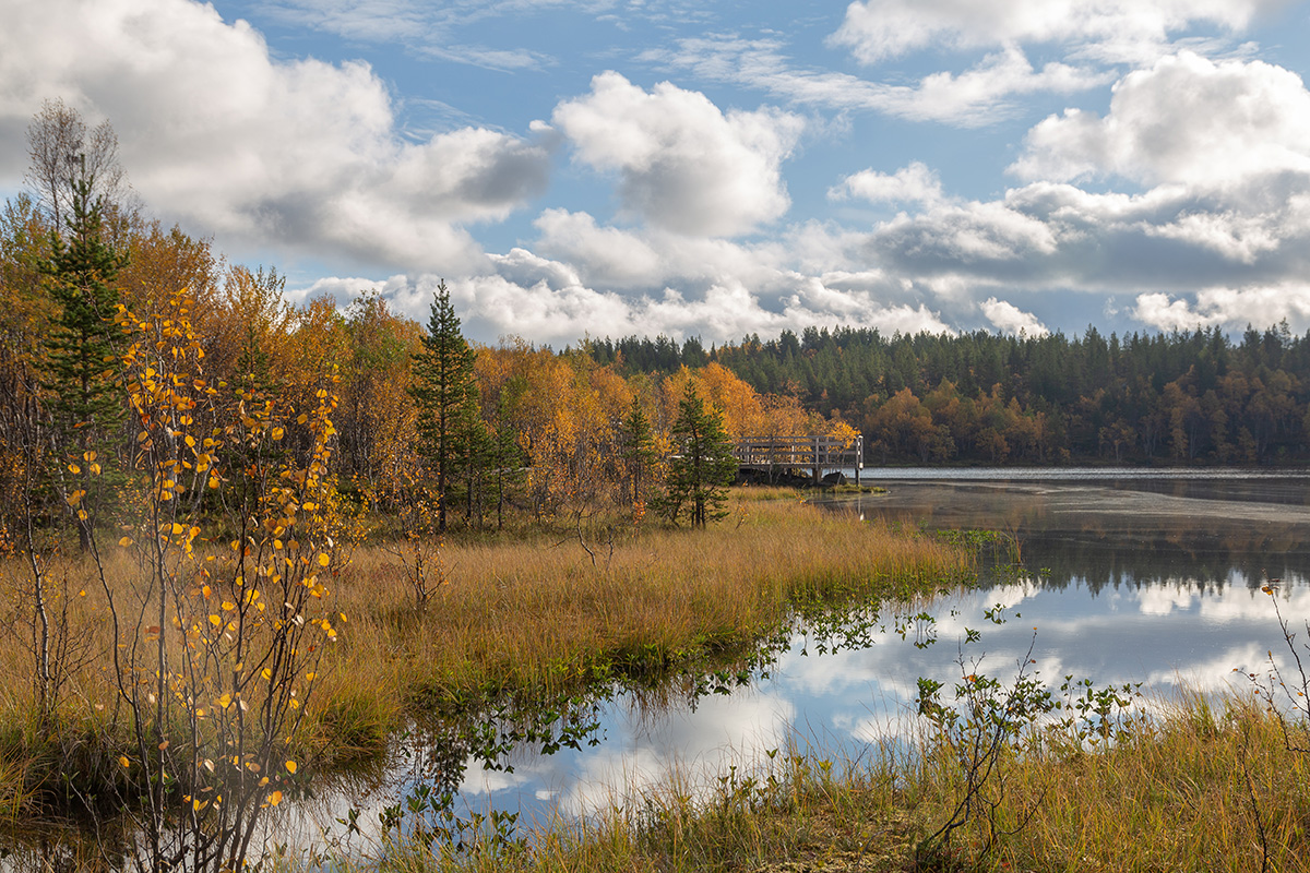 Мурманск, изображение ландшафта.