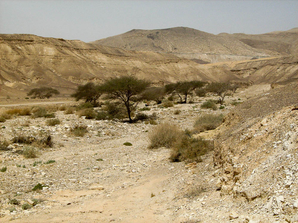 Негев, image of landscape/habitat.