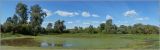 Image of landscape
