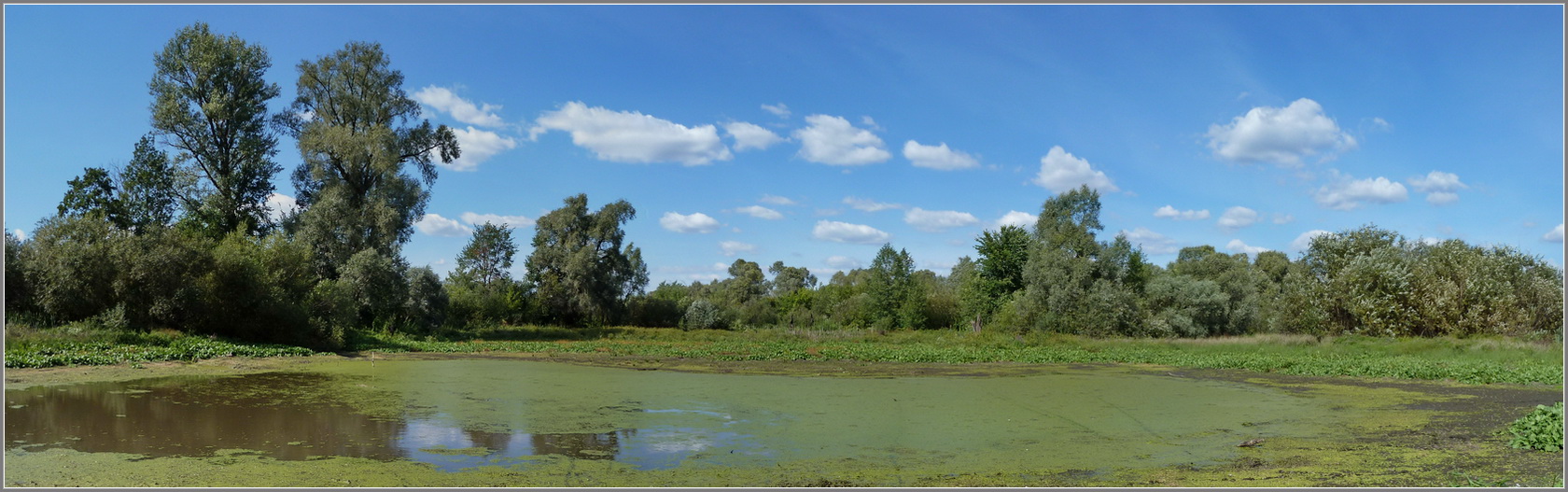 Щучья Лужа, image of landscape/habitat.