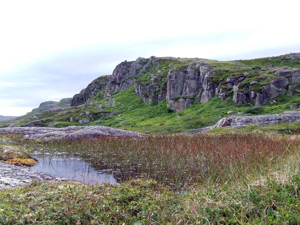 Дальние Зеленцы, image of landscape/habitat.