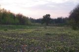 Image of landscape