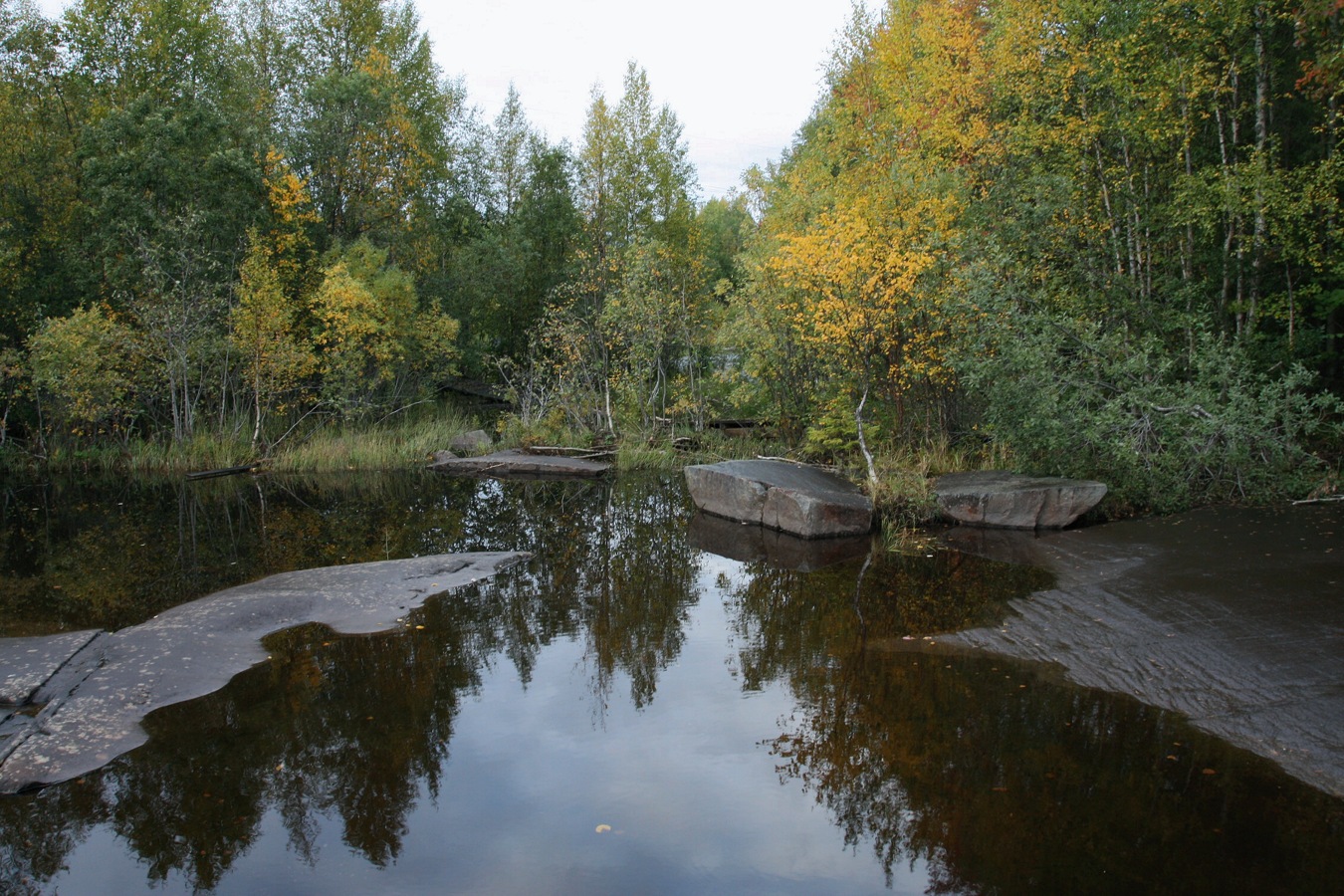 Залавруга, image of landscape/habitat.