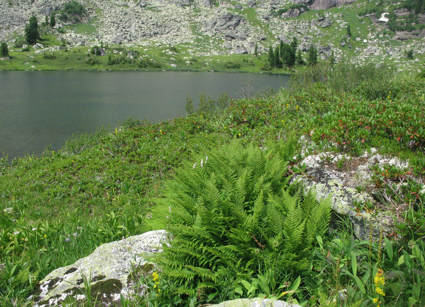 Озеро Тушканчик, image of landscape/habitat.