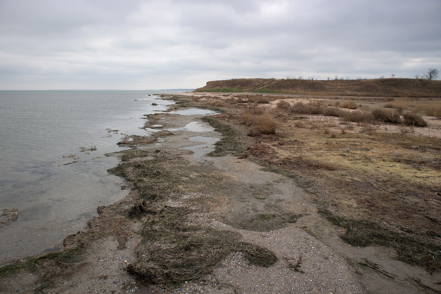 Кизилташский лиман, image of landscape/habitat.