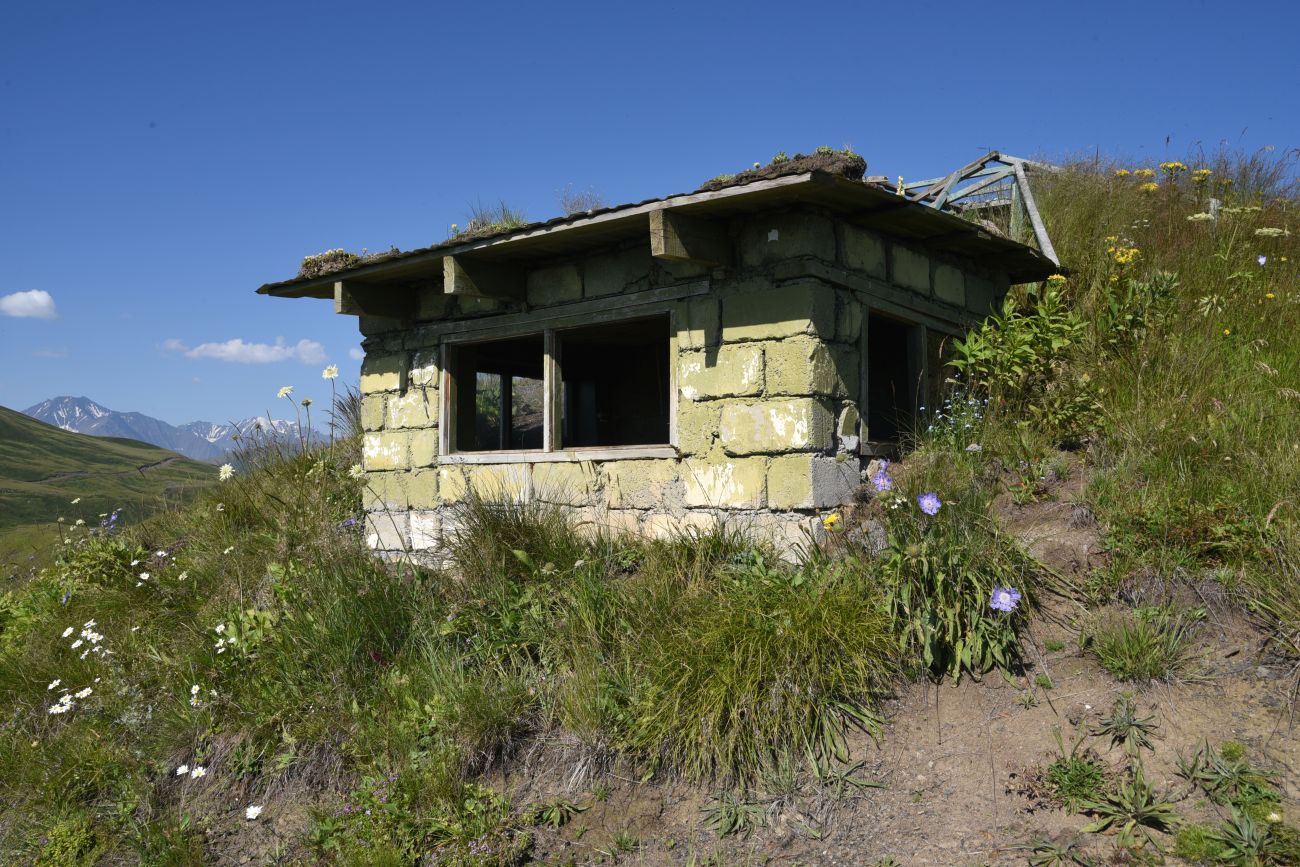Окрестности горы Чархунышкорт, image of landscape/habitat.