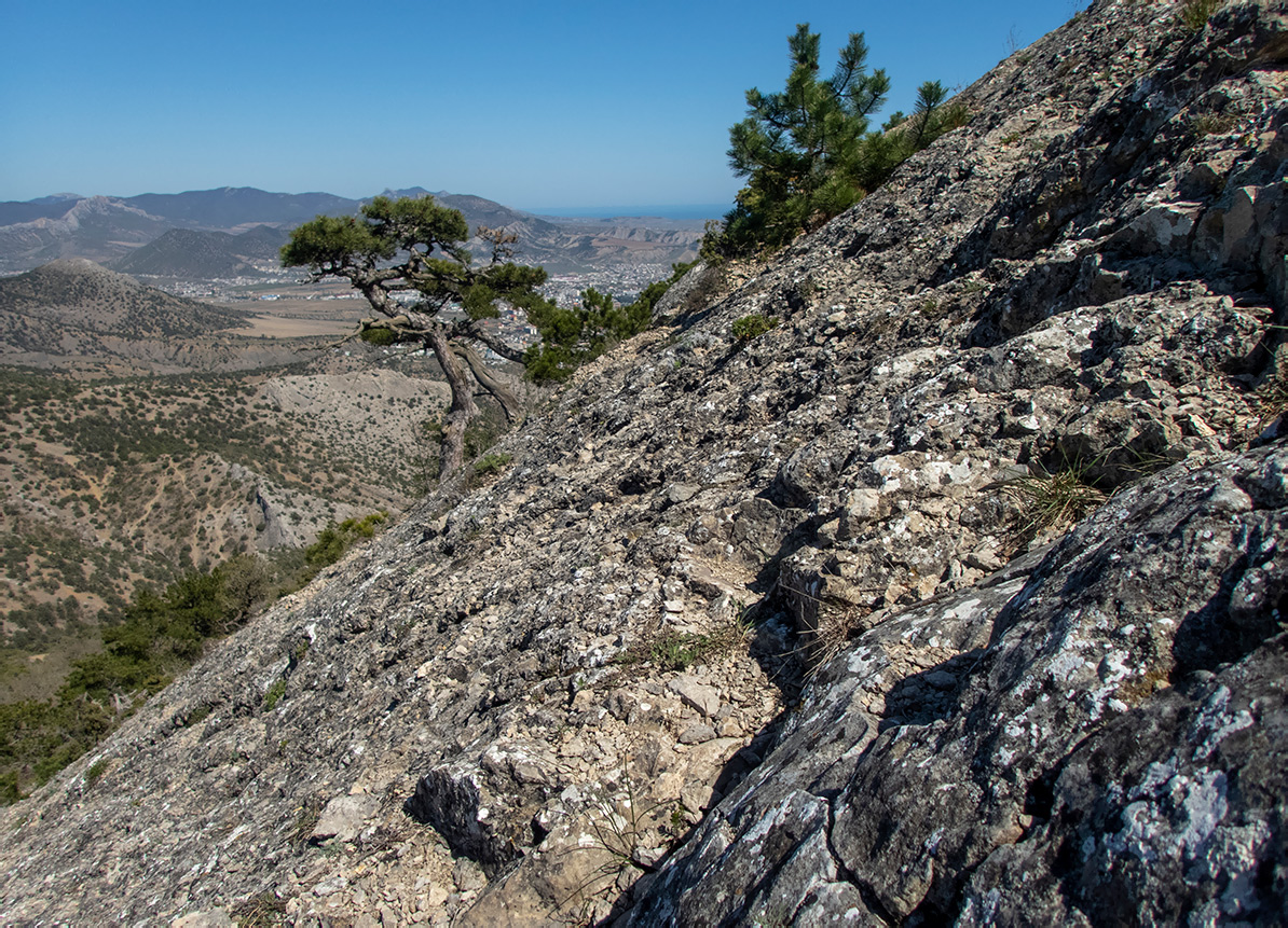 Сокол, image of landscape/habitat.