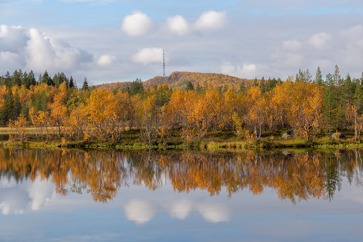 Мурманск, image of landscape/habitat.