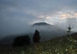 Landscape image