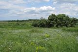 Image of landscape