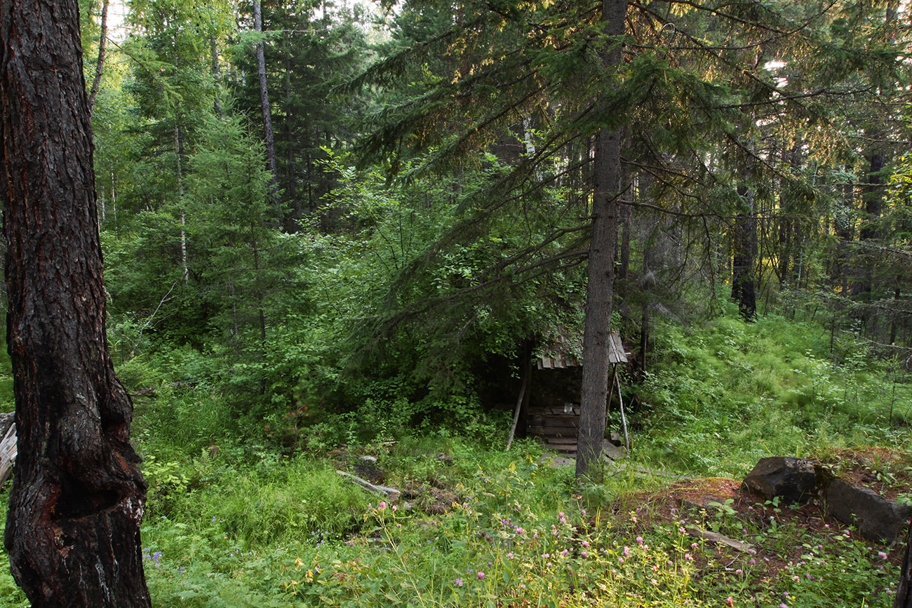 Ук, image of landscape/habitat.