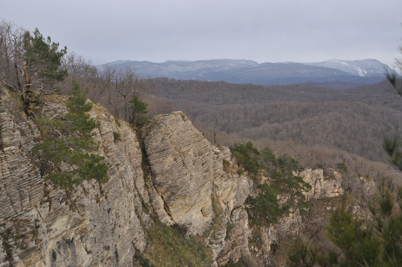 Орлиные скалы (Сочи), image of landscape/habitat.