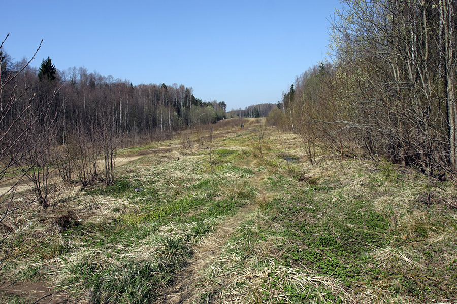 Окрестности Сертолово, image of landscape/habitat.