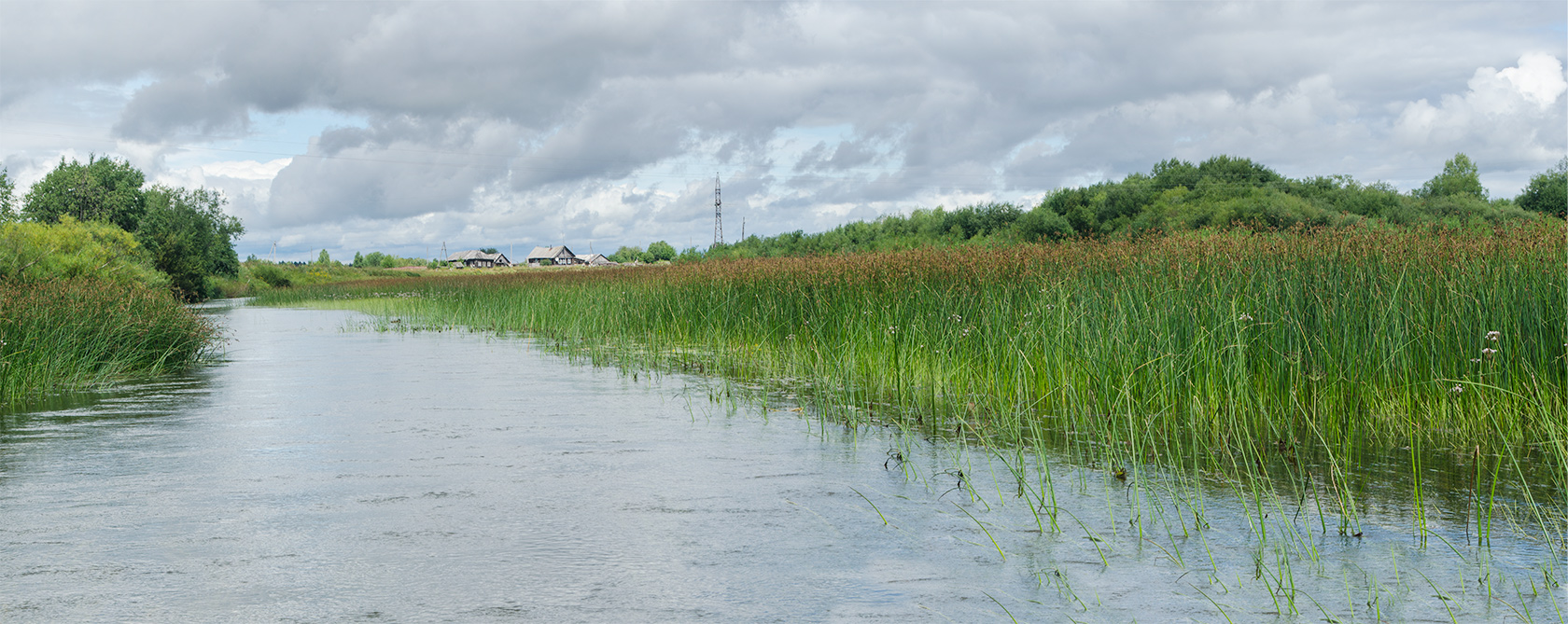 Окрестности Афанасьево, image of landscape/habitat.