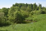 Окрестности деревни Федорино, image of landscape/habitat.