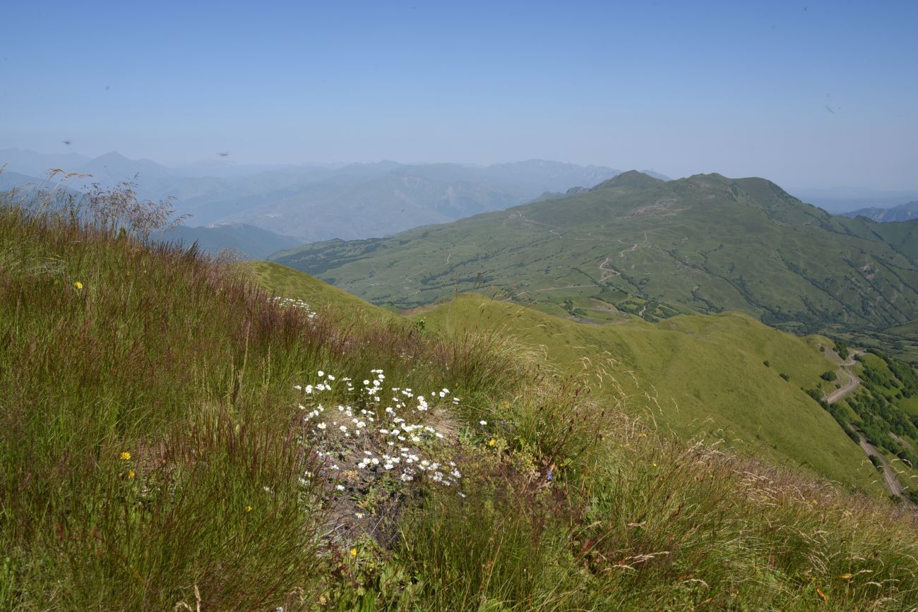 Окрестности горы Чархунышкорт, изображение ландшафта.