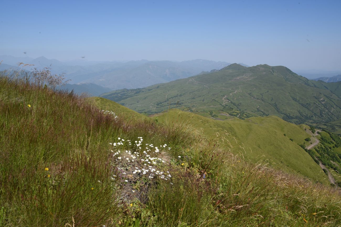 Окрестности горы Чархунышкорт, image of landscape/habitat.