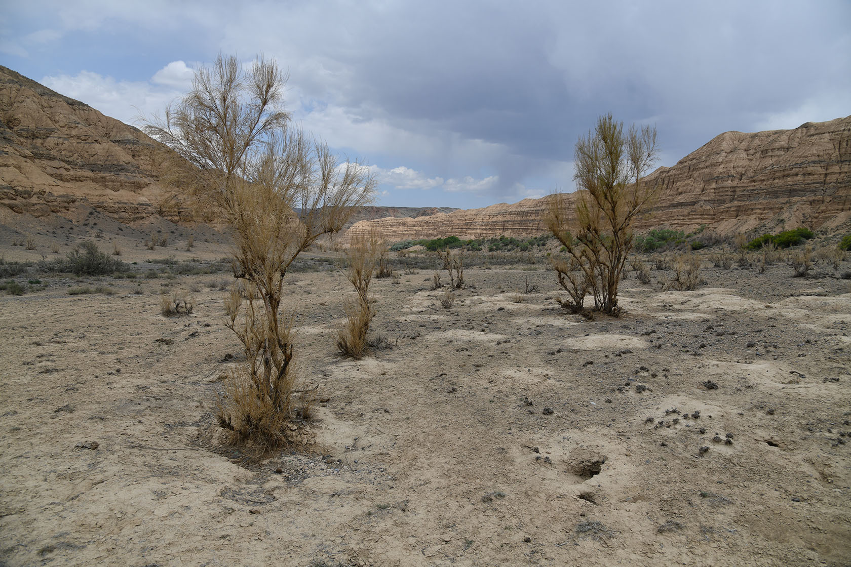 Чарын, image of landscape/habitat.