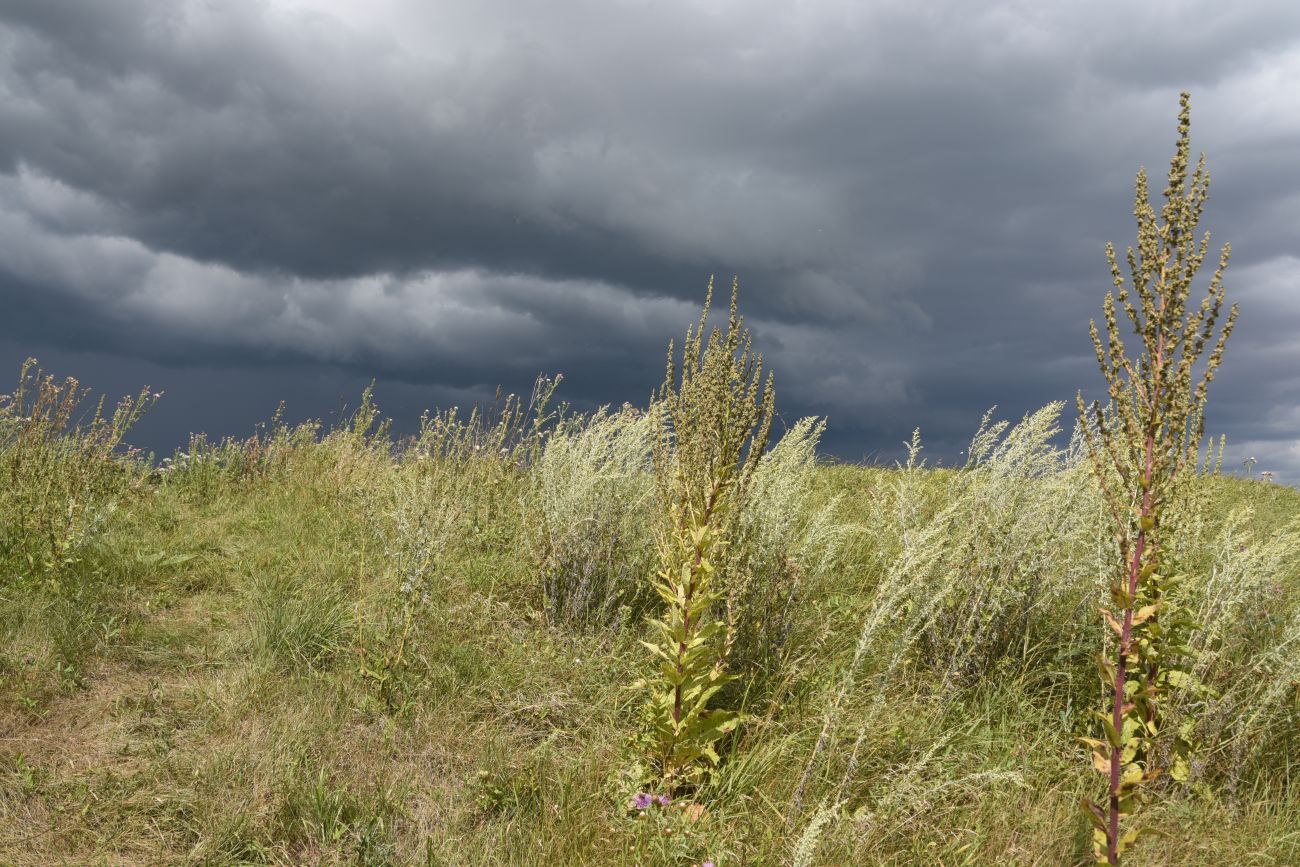 Красная Заря, image of landscape/habitat.