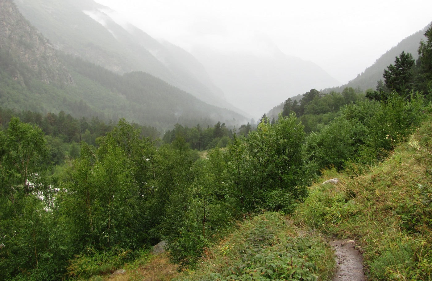 Бассейн реки Адылсу, image of landscape/habitat.