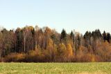 Окрестности Сертолово, image of landscape/habitat.