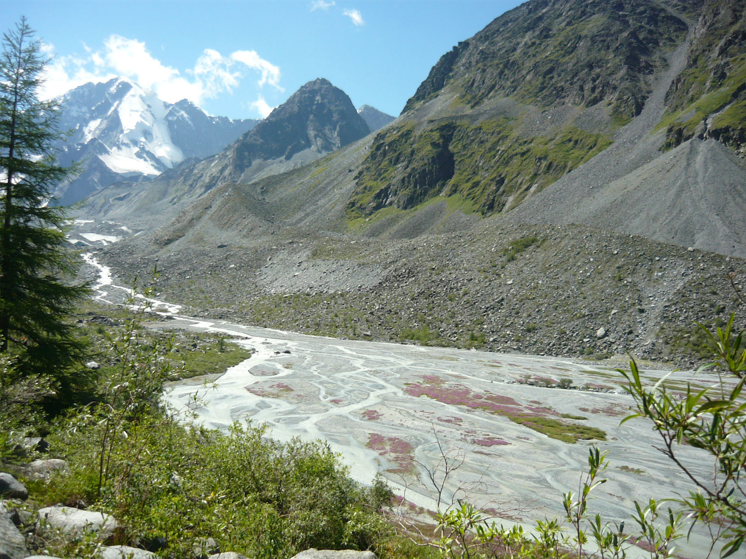 Морена Аккемского ледника, image of landscape/habitat.