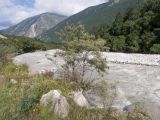 Черек-Хуламский, image of landscape/habitat.