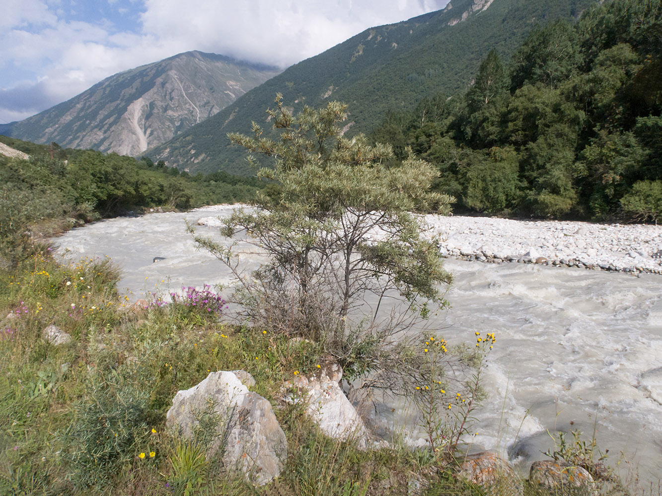 Черек-Хуламский, image of landscape/habitat.