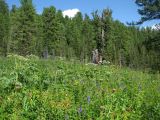 Озеро Тушканчик, image of landscape/habitat.