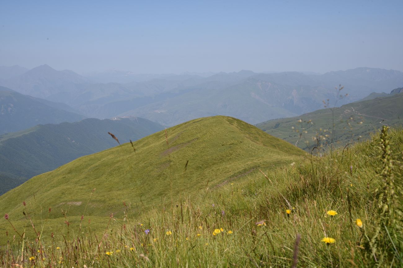Окрестности горы Чархунышкорт, image of landscape/habitat.