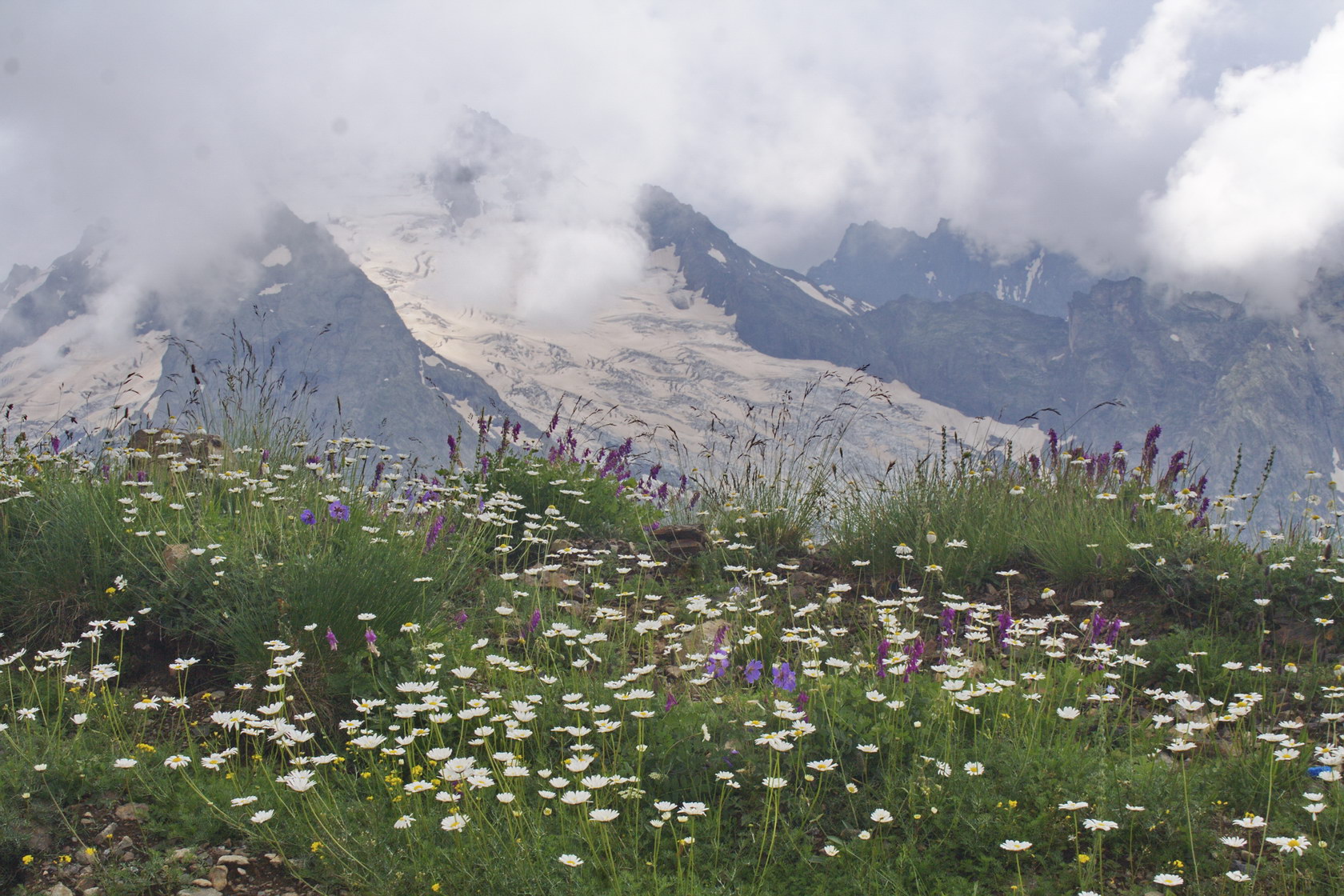 Гора Мусса-Ачитара, image of landscape/habitat.