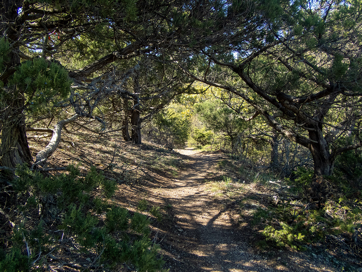 Сокол, image of landscape/habitat.