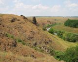 Правый берег Кальмиуса напротив Красного Октября, image of landscape/habitat.