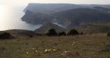 Image of landscape