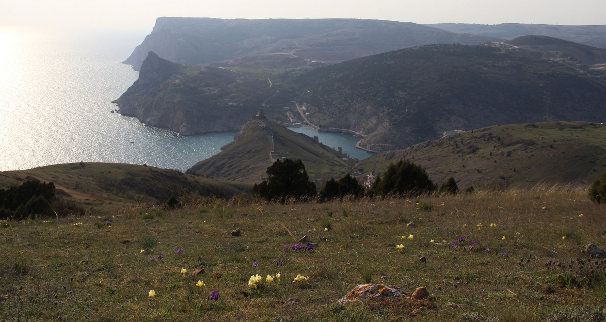 Балаклавские высоты, image of landscape/habitat.