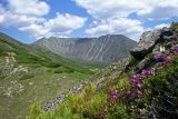 Омот-Макит, image of landscape/habitat.