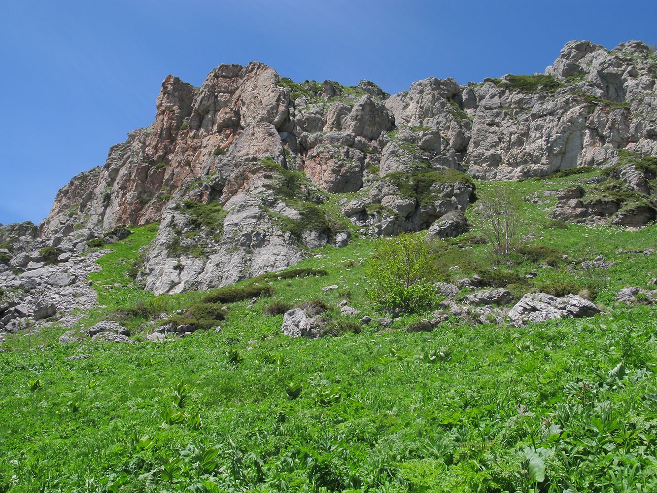 Каменное Море, image of landscape/habitat.