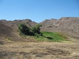 Image of landscape
